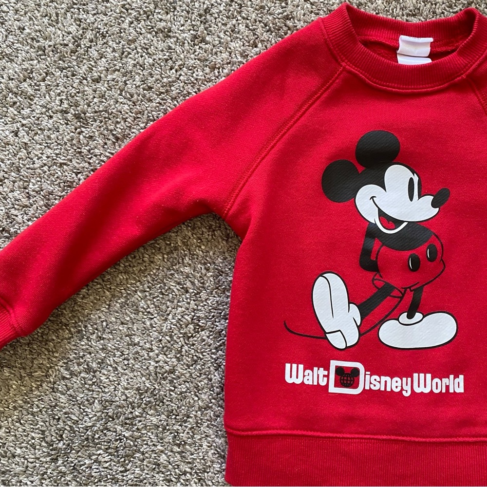 OFFICIAL DISNEY WORLD SWEATSHIRT